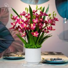 ޥ�m����ٻ��҃ȿ͏d�ҾӲ廨�b����ϻ��ܲ�����[�O��ˇ�ɻ�