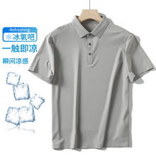 �������ļ���ʿpolo����ɫ�����Լ��������T����֯����TX3026