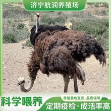 ���lÓ���r�B������w �����^�p�����r�B���w ���B�Bֳ�����r�B��