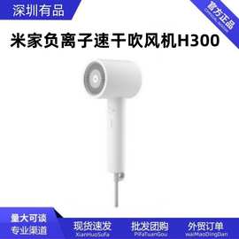 负离子速干吹风机H300家用护发冷热大功率电吹风机H101其他无