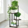 植物庭院花园金属植物架