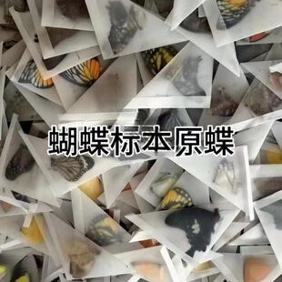 ������˱�����ԭ��δչ���ֹ�diy�������x�˱��P��ԭ�x͐��