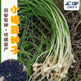 С����N��ɽ����X�σ��|���ط���ɫҰ��Ұ�������߲˴����ļ���