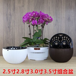 2.8��3.0���m����3-4�ú����mƴ�M����ظ������͸��W��������