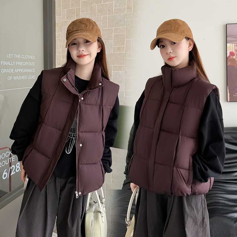 Otoño y invierno de 2025 nuevo chaleco de algodón de moda corto simple chaleco de algodón de cuello vertical chaleco sin mangas