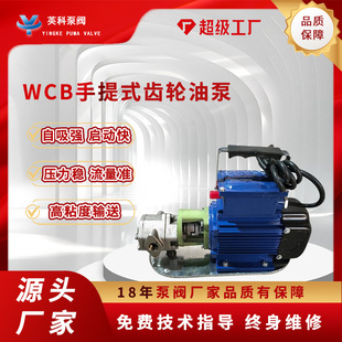 ����ʽ�X݆�ͱ�WCB-50�X݆��С�Ͳ��P�ж����Һ���C��220v����