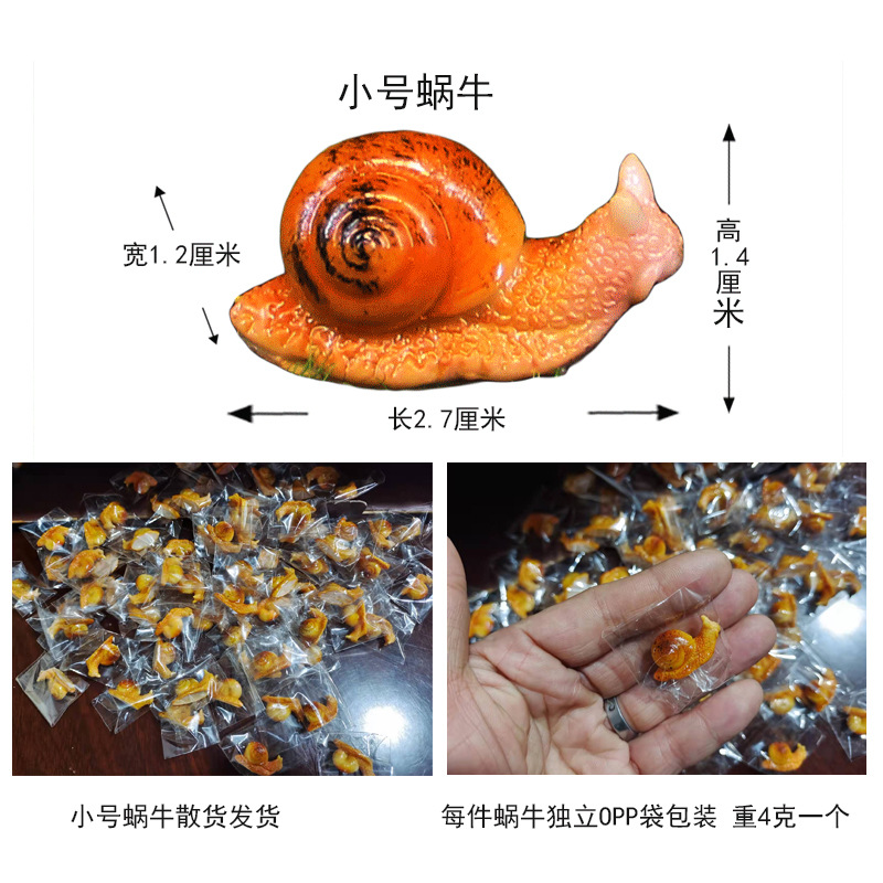 Small snail