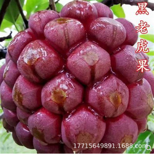 Ѫ�پ�F���ϻ�������ˮ����������ͥԺ�̨���Ե��Թ�����Y��