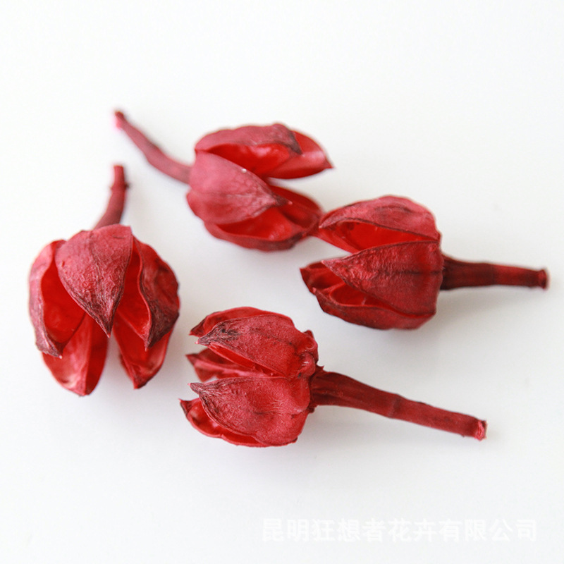 Quả Roselle Đỏ [túi 20g, khoảng 30 miếng, đường kính 1,5cm-2cm]