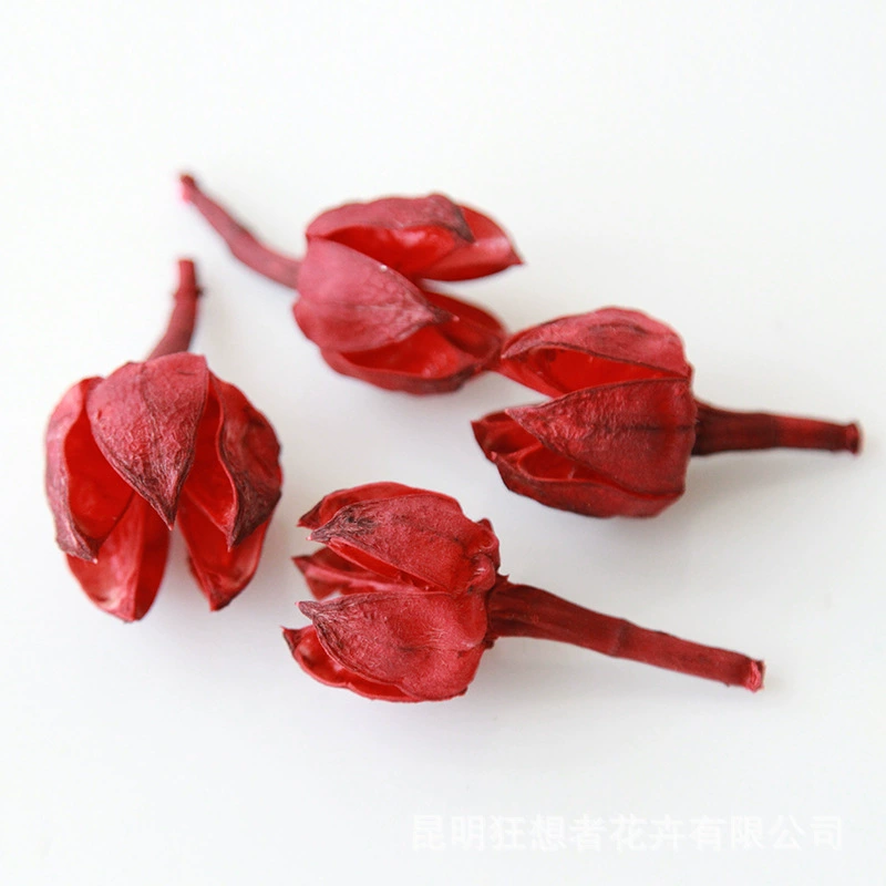 Dry Flower DIY Materials [Dry Fruit] Madman Sommelier Candle Plant Simagon Handmade Class Dry Flower Dry Branches Material