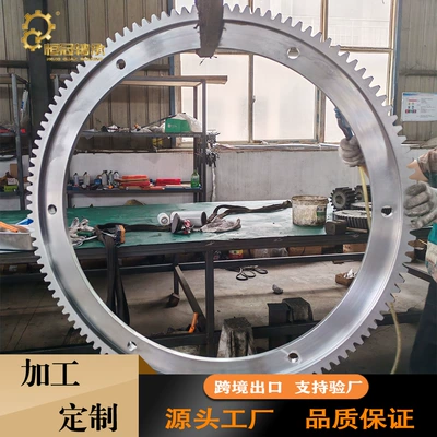 Stainless Steel Gear Ring Seawater Anti-corrosion Gear Ring Food Machinery Gear Ring Export Quality (Diferensial dişli dəstləri) - stainless-steel-gear