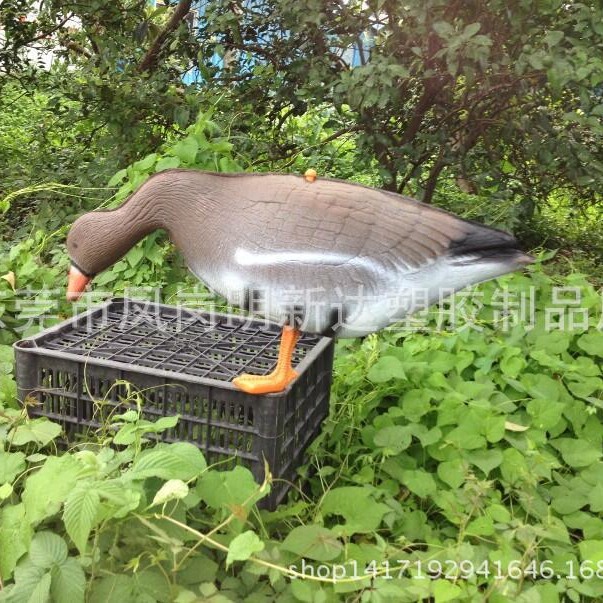 家禽餌カナダアメリカ七面鳥園林偽アヒル狩猟餌浮水鴨ロシアガチョウ|undefined