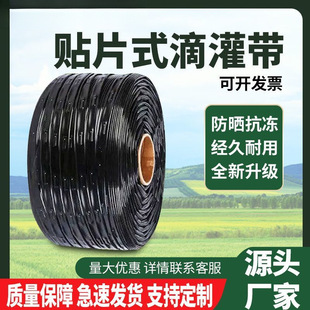 �p�׵ι����r���NƬʽ�ι��16mmˮ����ݮ�����߲˵�ˮ��΢�����