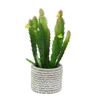 �¿������������С̖�����������ٶ���ֲ��΢���^���ܾGֲ����