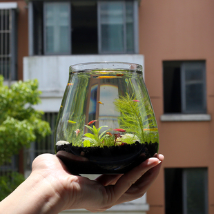 Ecological Fish Tank Office Water-Change-Free Ecological Bottle Desktop Micro-Landscape Mini Fish Tank Self-Circulating Ecological Tank