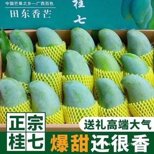 �V��5����10�������r����ˮ������â������â�F����â��ɫ��|