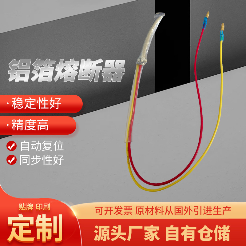 铝箔熔断器高压熔断器保险丝 熔断器温度保险丝 RS温度保险丝供应