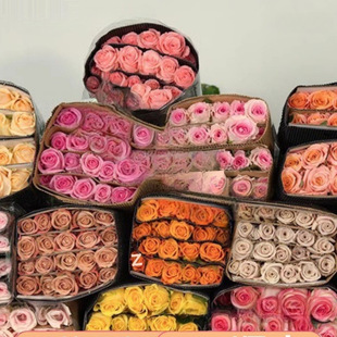 õ�廨�r���������������ֱ�l�ٺ����տ��t�������r��ˮ�B�彁��