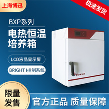 上海博迅 BXP-65电热恒温培养箱实验室 微生物培养箱