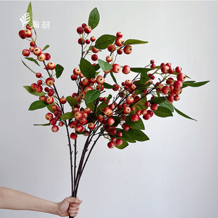 �S�����l���Ĺ��lؔ�����滨���~�t���}�Q���������Ҿ��b{��֦