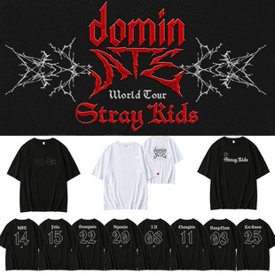 StrayKids2025�ݳ��� dominATEͬ��A�I����T����ӡ�����·�