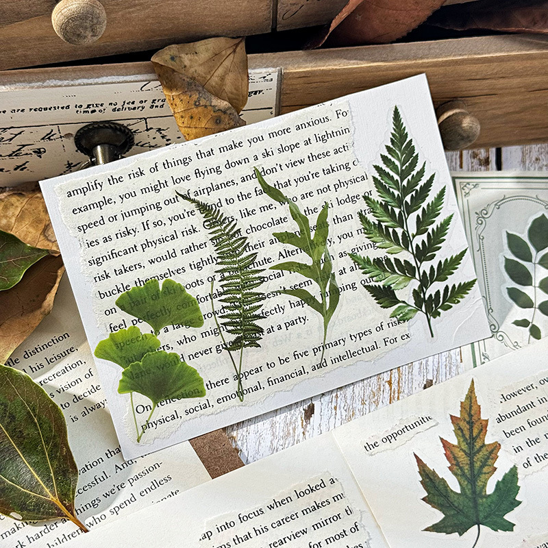 Hojas caídas en otoño impermeable mascotas transparentes pegatinas de tela de mano paquete diy pegatinas de tela de mano materiales vegetales pegatinas de hojas para niños pegatinas de hoja