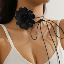 �羳؛Դ �͹��F����ɫ����ĵ���p������ϵ�����i�����i� ���