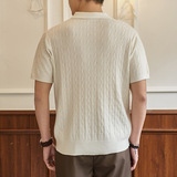 ZF8108-MW衫时尚高级T恤上衣美式麻花纹翻领针织短袖POLO男装，男装针织衫/毛衣，星座614