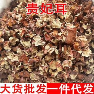 �F���� ��ľ�� ����F���� ��ľ�� �tľ�� ���l���l