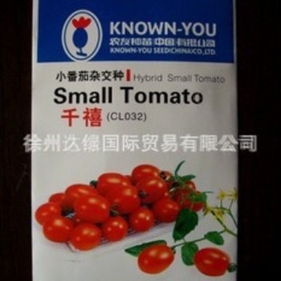 ̨���r�ѷN��ԭ�b�M���}Ů�͙��ҷ��ѷN�ӣ�ǧ�����̋ɣ�Сϼ��