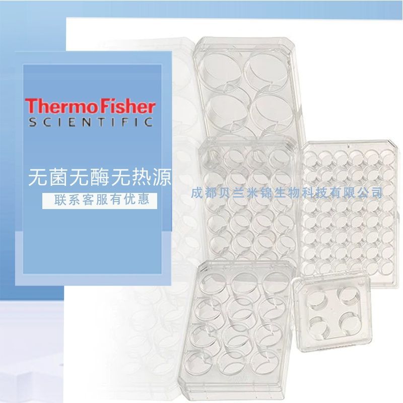 NUNC能肯176740 4孔细胞培养板聚苯乙烯PS无菌无热源赛默飞96孔板