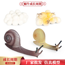 ��������С�������x����ģ���J֪�̾�΁ţ֩�빫�u�@���x���L����