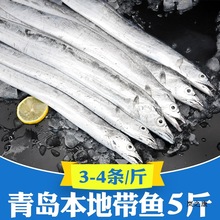 青岛小眼带鱼新鲜冷冻海鲜鲜活速冻油带鱼海捕刀鱼整条整箱5斤