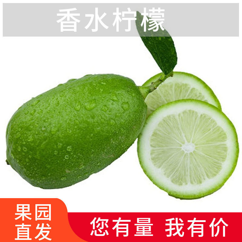 Guangxi Perfume Lemon, Lemon, Lime, Free Shipping, Sour Perfume Lemon 3 Pounds 2.5kg 4.5kg Dropshipping