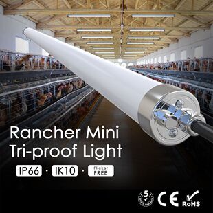 40mm Diameter Mini Round Ip65 Waterproof Tubular Tri-Proof Light