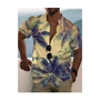 夏威夷夏季男士短袖纽扣