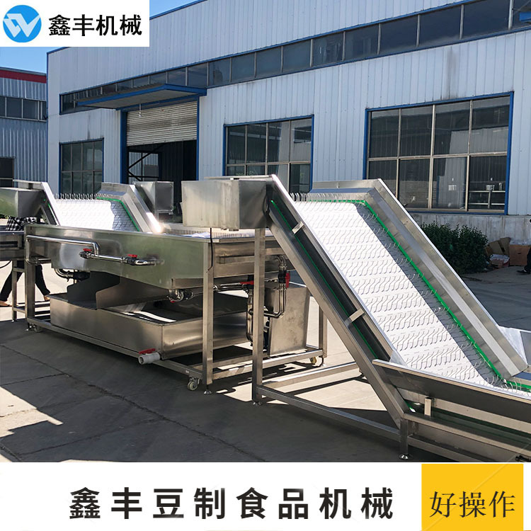 自动控温豆芽机 300斤豆芽设备省水省电产量高 技术包教会