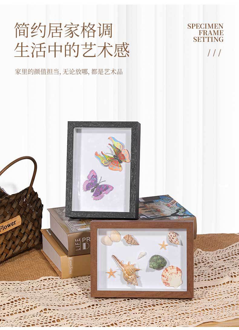 标本相框