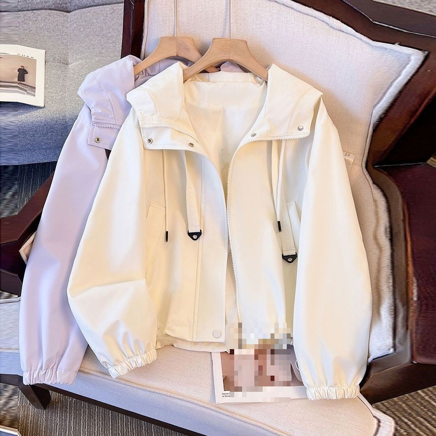 Purple Jacket for Small Women, Super Popular Spring and Autumn New Style, Short Casual Spring Clothing Popular This Year