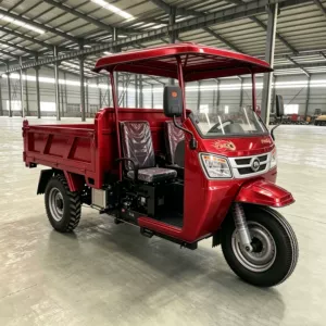 Export diesel passenger tricycle, fuel-efficient, durable, simple design, suitable for short-distance passenger transport in urban and rural areas, cross-border three-wheeled vehicle