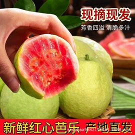 块茎类;苹果;其他蔬菜