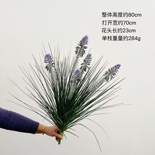 ��� �Gֲ��Ȕ�ݰ���5�^�u�ڻ��JȔ�쾰ֲ��ͥԺ���^�ݷ�����