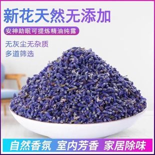 ޹�²ݻ��½�����ɻ��滨ꎸ����^��䰲��M�������ζ