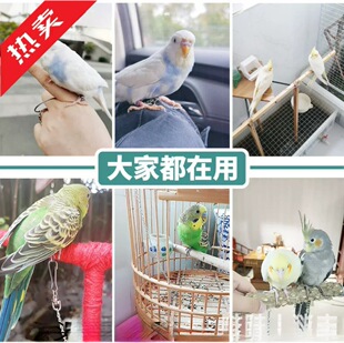 ���P��W�^�_�h���P���w��Ƥ��ĵ������B��Ѱ˸纼�Kվ�B�B�_�