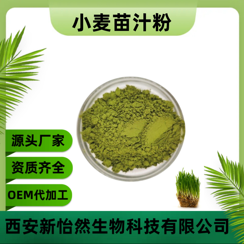小麦苗汁粉99%小麦提取小麦苗粉 小麦草粉 青汁粉 工厂现货
