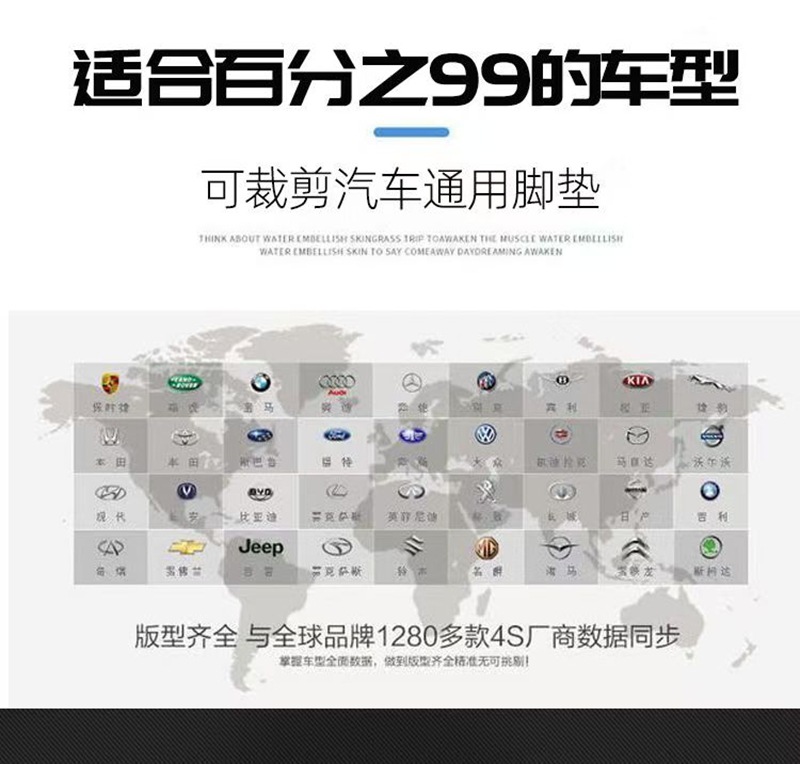 Cross-Border Customizable Universal Car Floor Mats, Waterproof, Non-Slip, Wear-Resistant Roll Mats for Electric Vehicles