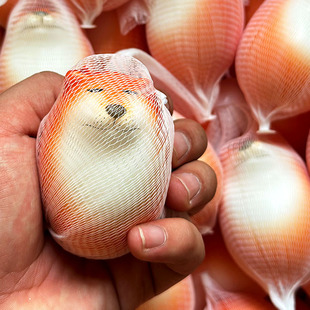 ���⹷����ż��Ȯ���������؏��≺���ɳ���Ц�k���Ҝp���YƷ