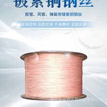 KʢS҂}ֱlżҎt~䓽z  ҎRȫ Ʒr