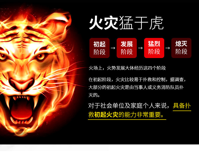 Flash 600ml Car Fire Extinguisher Portable Small Water-Based Car Fire Extinguisher Household Fire Equipment