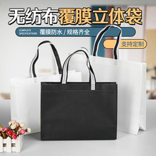 超声波无纺布袋环保立体袋宣传广告袋无纺布购物手提袋可印刷logo